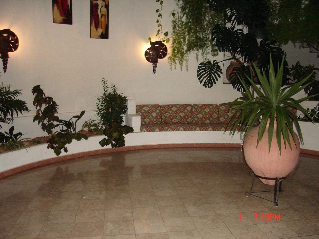 Jeannie'S Oura Estrela Apartamento Albufeira Exterior foto